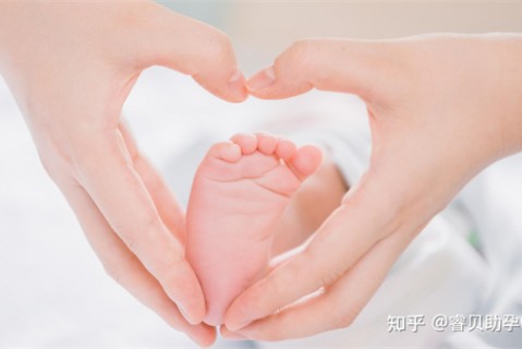 http://ningbo.51dzb.net/post/188.html|宁波新闻中心